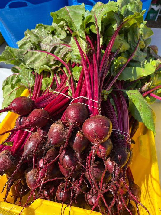 WHOLESALE - Red Beets