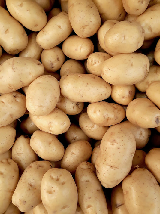 WHOLESALE - Fingerling Potatoes