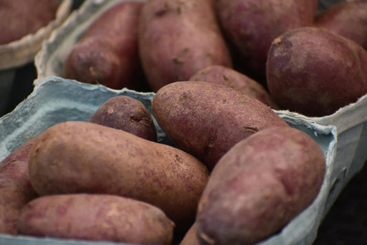 WHOLESALE - Sweet Potato